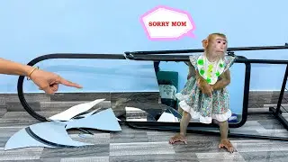 Monkey Kaka made her mom sad because broke makeup mirror