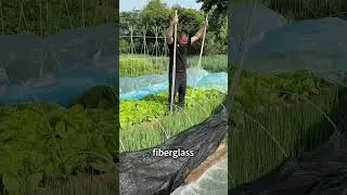 No More Broken Bamboo! Try This Smart Veggie Cover! #farming #easyfarming #diy#garden #shorts