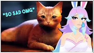 I CRIED SO HARD | Stray