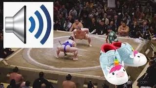 Sumo Match But With Squeaky & Cartoon Sound