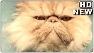 Toyota new 2012 TV commercial: The cat and the vet