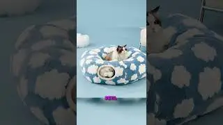 Lesure Cat Tunnel Bed for Indoor Cats |Cute Cat Donut Tunnel Toys for Small Large Cats