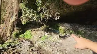 Prophet Musa AS springs
