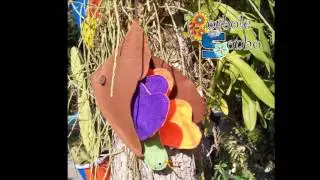 Metamorfose - A lagarta e a borboleta