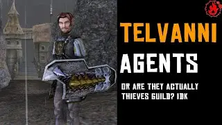 Telvanni Agents - Fighters Guild Walkthrough (TES III Morrowind)