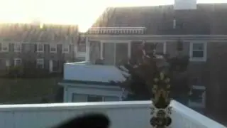 Belvedere condo