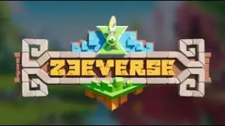 Zeeverse/Strange New World AMA/Audio recording of the conference