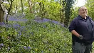 #RangerLife Bluebells! and a 'new' team member