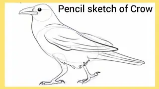 How to draw a crow step by step || Made by Monika ||