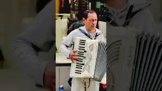 Accordian Sweden 🇸🇪 Stockholm City #shorts #europe #scandinavia #accordion #music