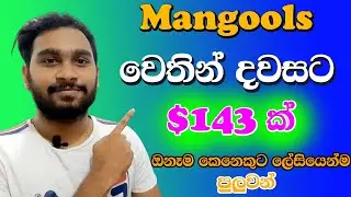 How to earn 143.64$ per day with copy and paste| mangools| e money sinhala | online jobs valuablelk