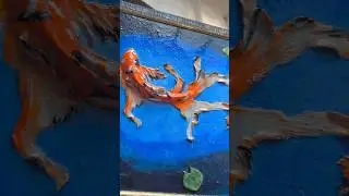 koi fish pond clay art with frame 🐟DM to buy this handmade piece ✨ #shorts #art