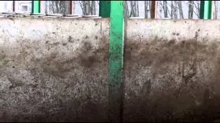 Pomez&iacute; - Farma pro dojnice