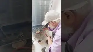 Dawalance fridge flushing condenser and vibrator.