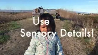Sensory Details Rap
