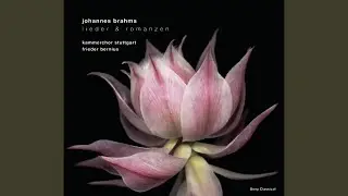 Lieder, Op. 62 (Sieben weltliche Gesänge) : Waldesnacht, Op. 62/3