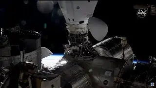 Прямая трансляция стыковки грузвого корабля Cargo Dragon 2(CRS-29) с МКС