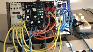 Cadence | eurorack modular archives (Pamela's New Workout, Chord v2, VCAx)