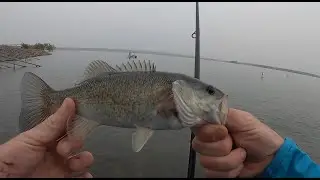 How to fish Chatfield Reservoir from shore!