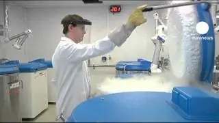 French doctors produce quality Red