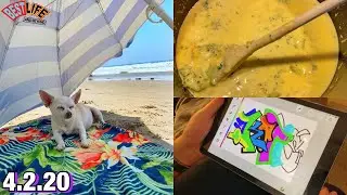 Morning at the Beach, Making Broccoli Cheese Soup & Spencer Doodles! Home is WTVI #17