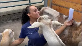 National Zoo Keeper Week