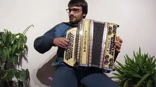 Anni Polka mit Steirischen Harmonika