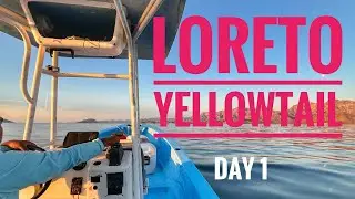 Loreto Baja California yellowtail fishing (day 1)