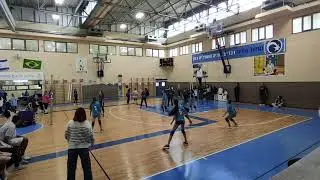 רוני אשל 2