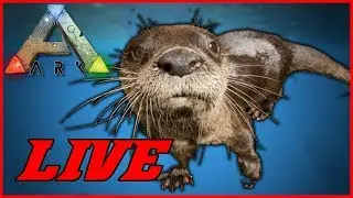 Ich teste gleichzeitiges Streamen auf Twitch & YT!!