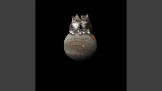 Cats on Jupiter
