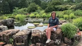 Director of Horticulture's Favorite Garden
