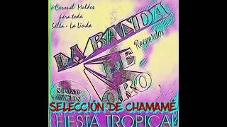 LA BANDA DE ORO - SELECCIÓN CHAMAMÉ