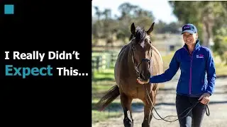 A Horse Trainer Showed Me the Secret to Better Leadership