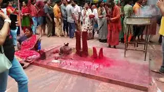কৌশিকী অমাবস্যা উপলক্ষে তন্ত্র সাধনা তারাপীঠ মহাশ্মশান #tarapith #banglavlog #travelvlog