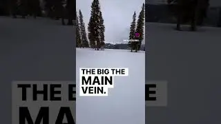 Main Vein #snow #snowboard #mountain #funny #humor #jokesandoutdoors