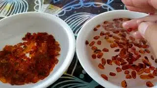Salt Water Amber Test! #real or #fake