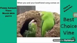 Funny Animals Vines March 2016 par8| AG Free Hug TV