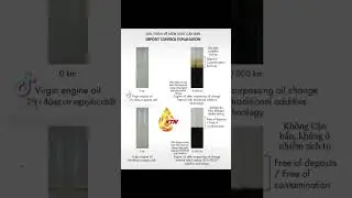 #KTN #Putoline #LiquimolyBienHoa #Amtecol #KN #Sonax #Carex #BienHoa #DầuNhớt #2T #4T #PhuGia