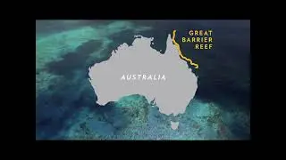 National Geographic Reading Explorer 2  Unit 6 Ocean Megabuilders