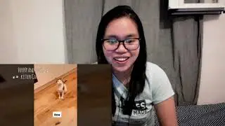 Cat Speak English Better than Hooman OMG Reaction