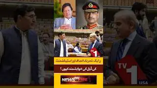 Why Is PML-N Seeking a Deal with PTI and the Establishment? | TV One USA