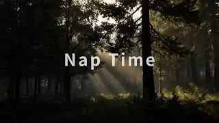 Relaxing Sleep Music｜Nap Time｜Stress Relief｜Calm Background Sound (2 Hours)