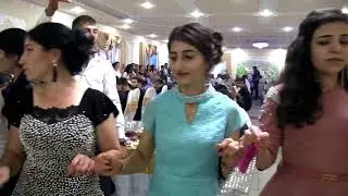 Аво и Лейла 2