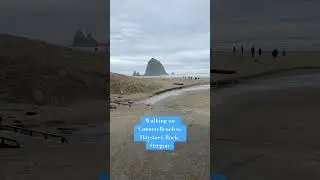 Walking on Cannon Beach in Oregon to the Haystack Rock formation