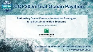 Rethinking Ocean Finance: Innovative Strategies for a Sustainable Blue Economy