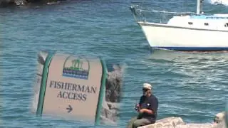 Racine Reefpoint Marina