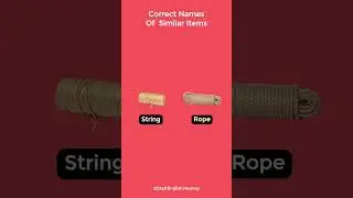 Correct Names Of Similar Items