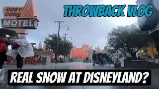 That one time it snowed at Disneyland 