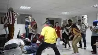 Erasmus Sibiu harlem shake